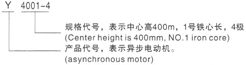 西安泰富西玛Y系列(H355-1000)高压YJTFKK4003-2三相异步电机型号说明